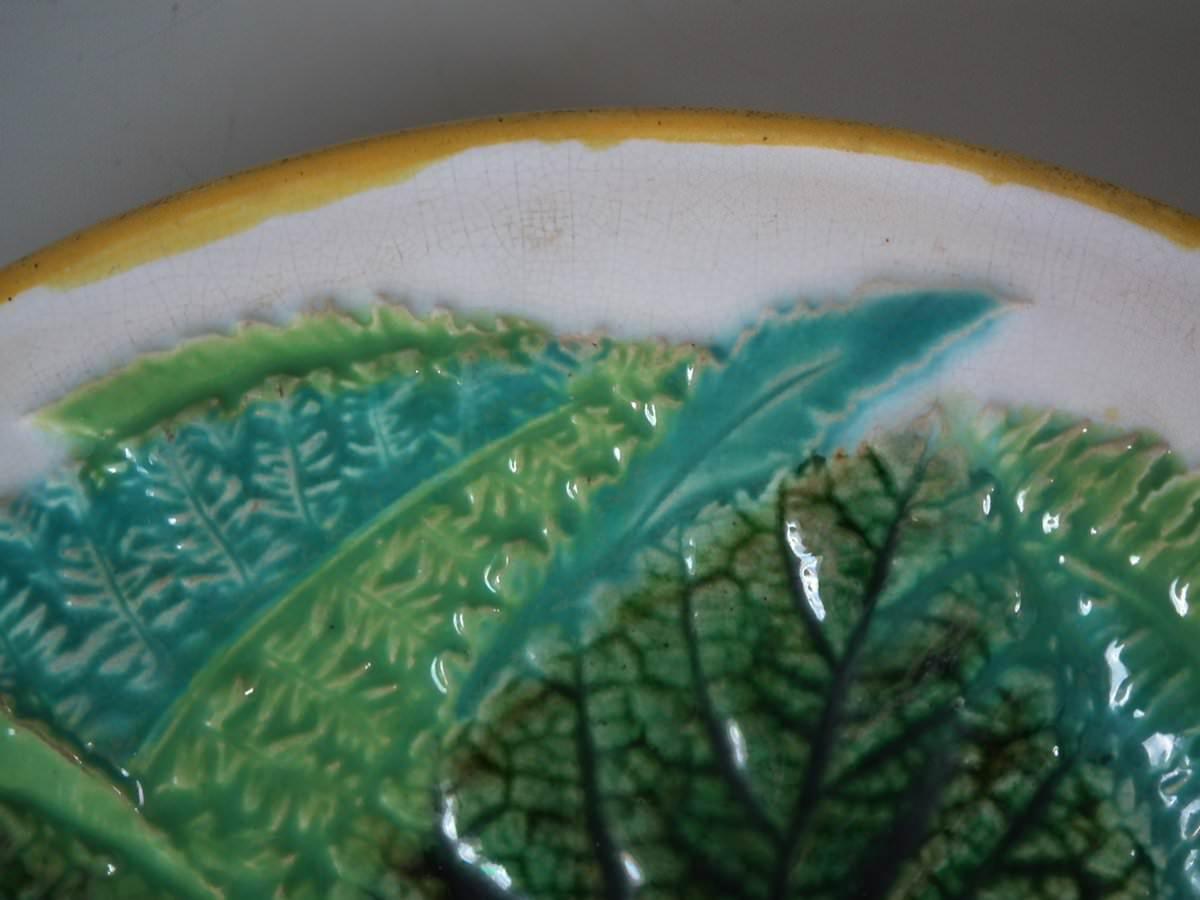 George Jones Majolica Fern and Leaf Plate 3