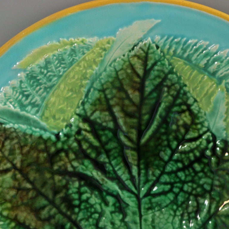 George Jones Majolica plate which features a maple leaf on a bed of fern leaves. Turquoise ground version. Colouration: turquoise, green, ochre, are predominant. Bears a pattern number, '2584 20'.
