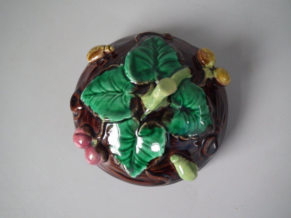 George Jones Majolica Insect Pot and Cover For Sale 14