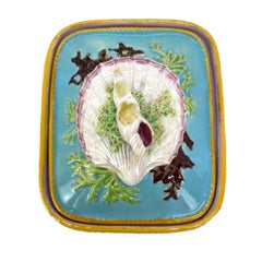 George Jones Majolica Sardine Box with Shells and Seaweed, English, ca. 1867