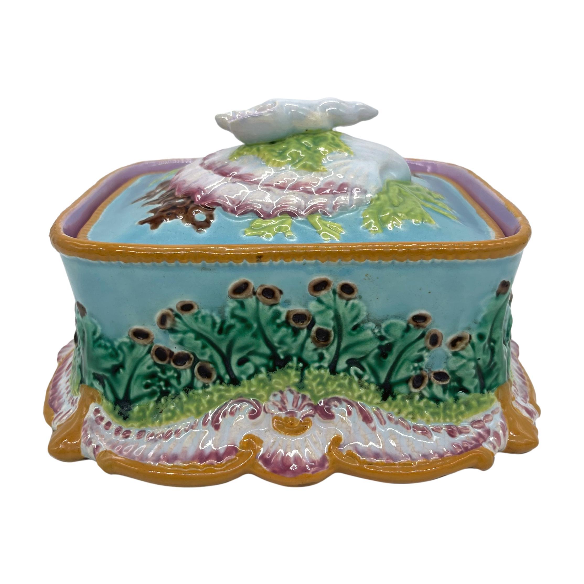 Victorian George Jones Majolica Sardine Box with Shells and Seaweed, English, ca. 1867