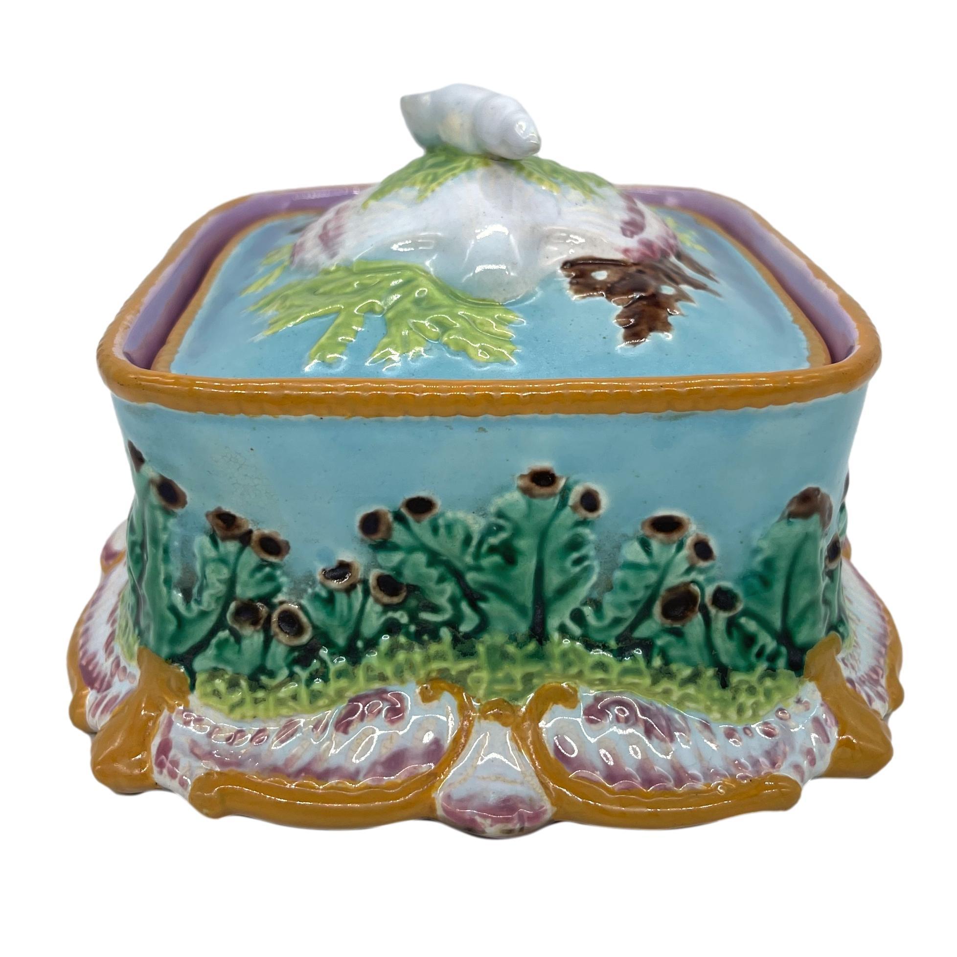 Molded George Jones Majolica Sardine Box with Shells and Seaweed, English, ca. 1867