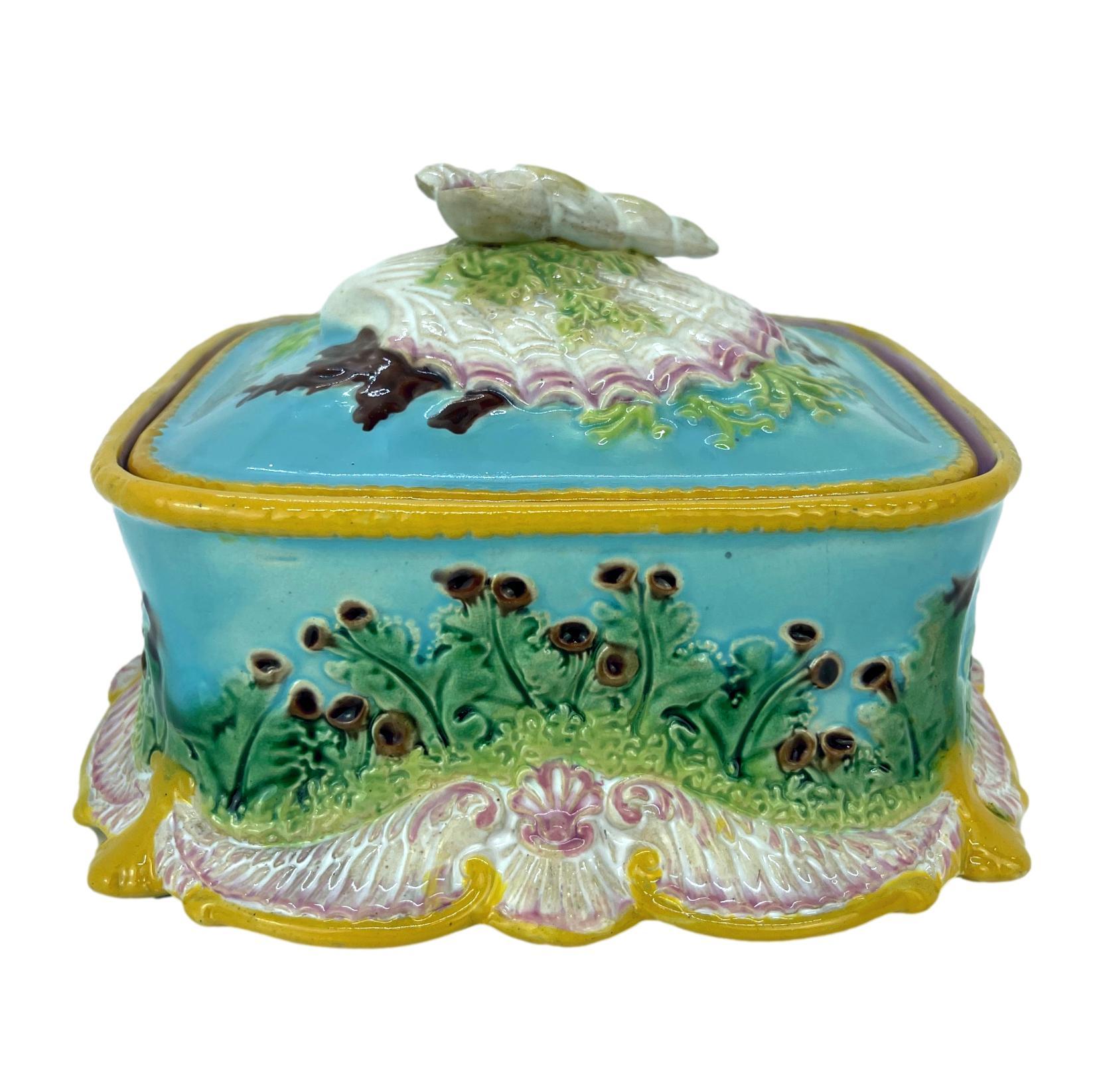 George Jones Majolica Sardine Box with Shells and Seaweed, English, ca. 1867 In Good Condition In Banner Elk, NC