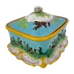 Antique George Jones Majolica Sardine Box with Shells and Seaweed, English, ca. 1867