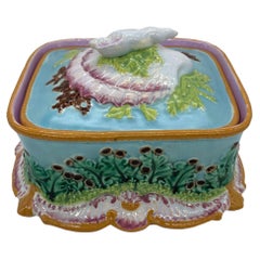 George Jones Majolica Sardine Box with Shells and Seaweed, English, ca. 1867