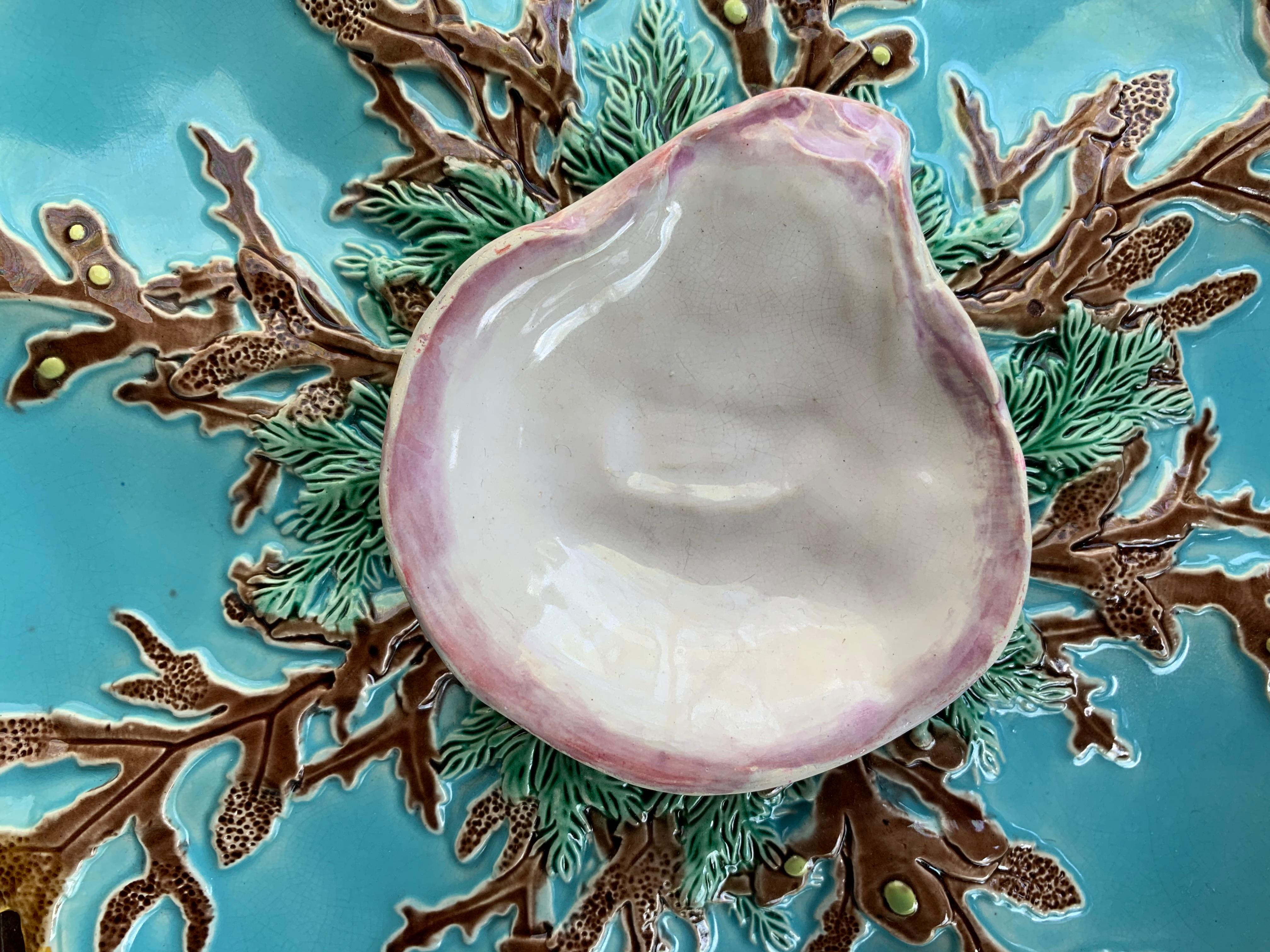 George Jones Majolica 10-ins turquoise blue eight well oyster plate, English, circa 1874, with various seaweeds on a turquoise glazed ground, with a raised naturalistic oyster shell glazed in white, with rare pink glazed border, the reverse with