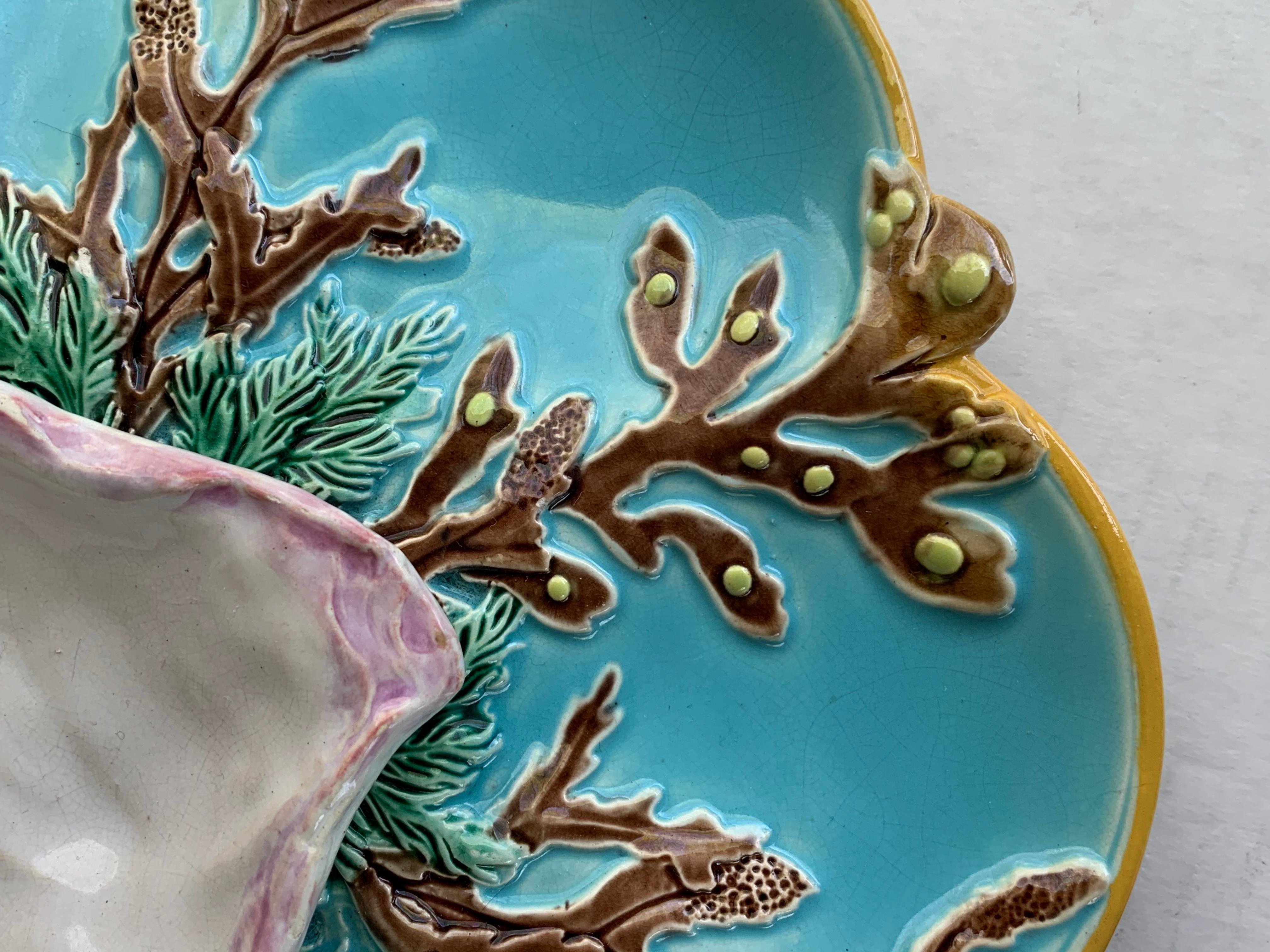 Molded George Jones Majolica Turquoise Eight Well Oyster Plate, English, circa 1874