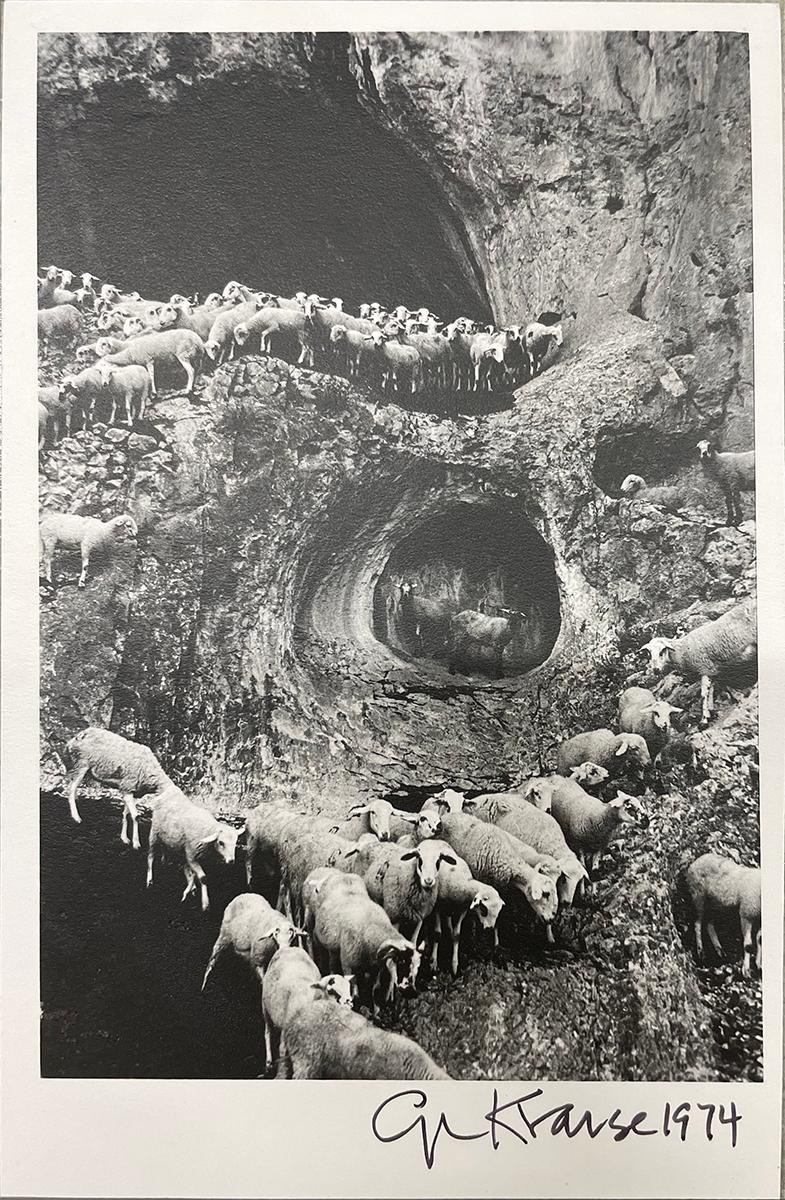 Pecora, Portogallo - Photograph Moderno di George Krause