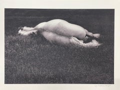 White Horse, Maine di George Krause, 1963, Stampa a pigmenti d'archivio, Fotografia