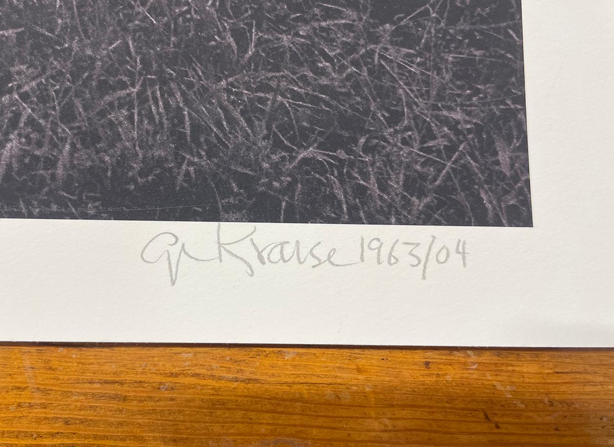 Weißes Pferd, Maine, von George Krause, 1963, Archivalistischer Pigmentdruck, Fotografie im Angebot 2