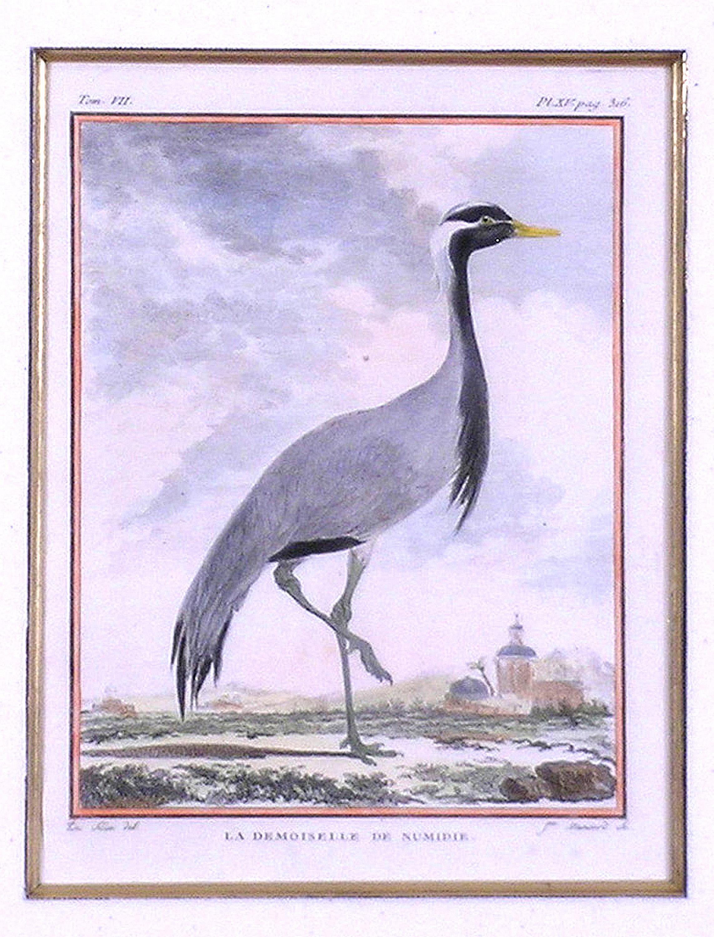 george's crane