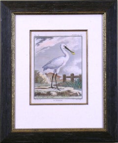 La Spatule (Spoonbill)