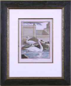 Antique Le Cygne (Swan)