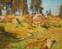 Paesaggio forestale