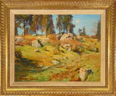 Paesaggio forestale