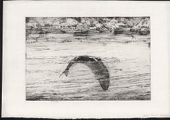 Hooked Salmon, angling fish etching by George Marples, circa 1920