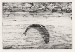 Hooked Salmon, angling fish etching by George Marples, circa 1920