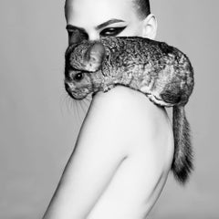 'Chinchilla Glamour' Silver Gelatin Print