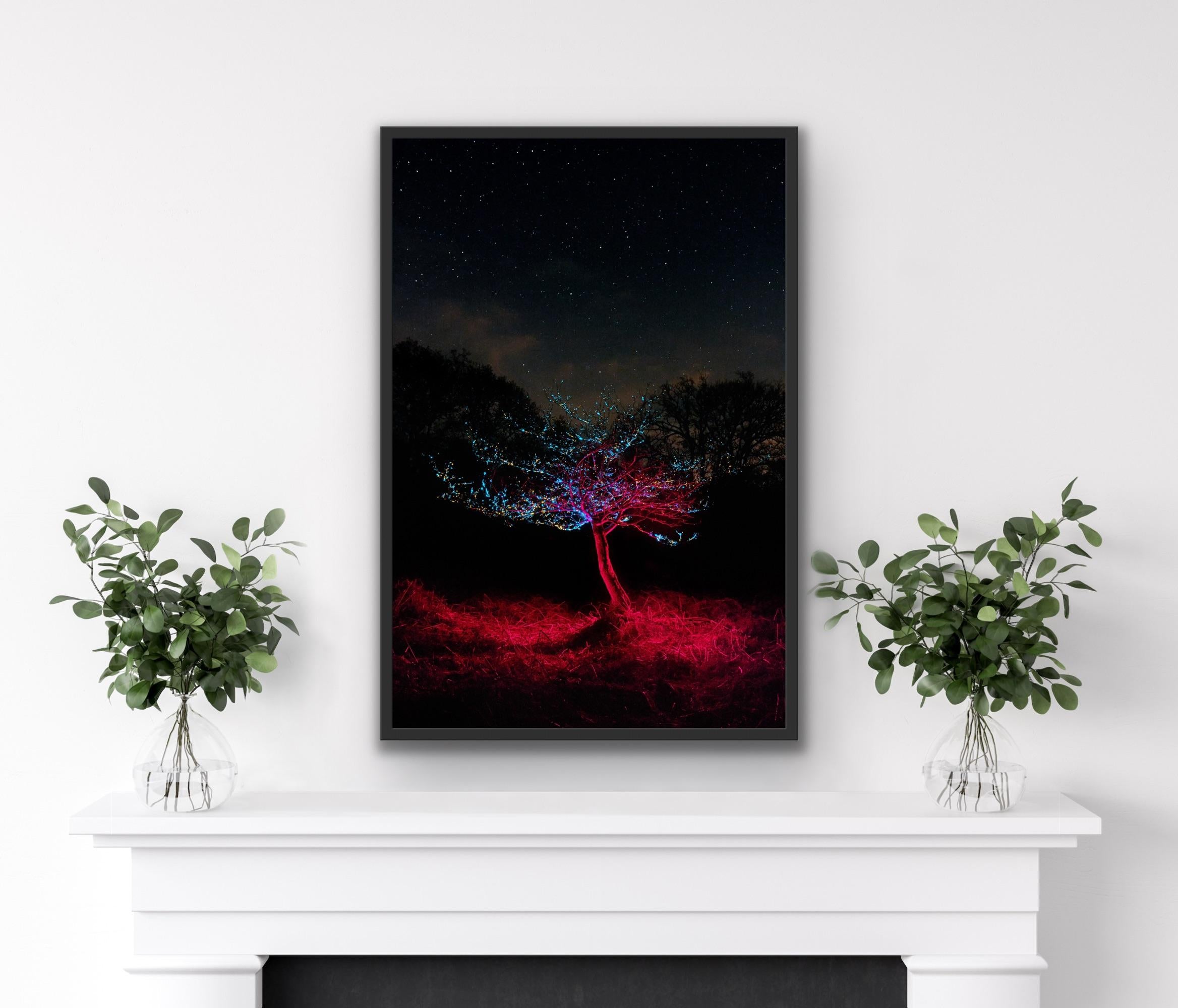 Sci-fi sparkle Red Blue Tree by Night with skylight stars - Framed Print For Sale 5