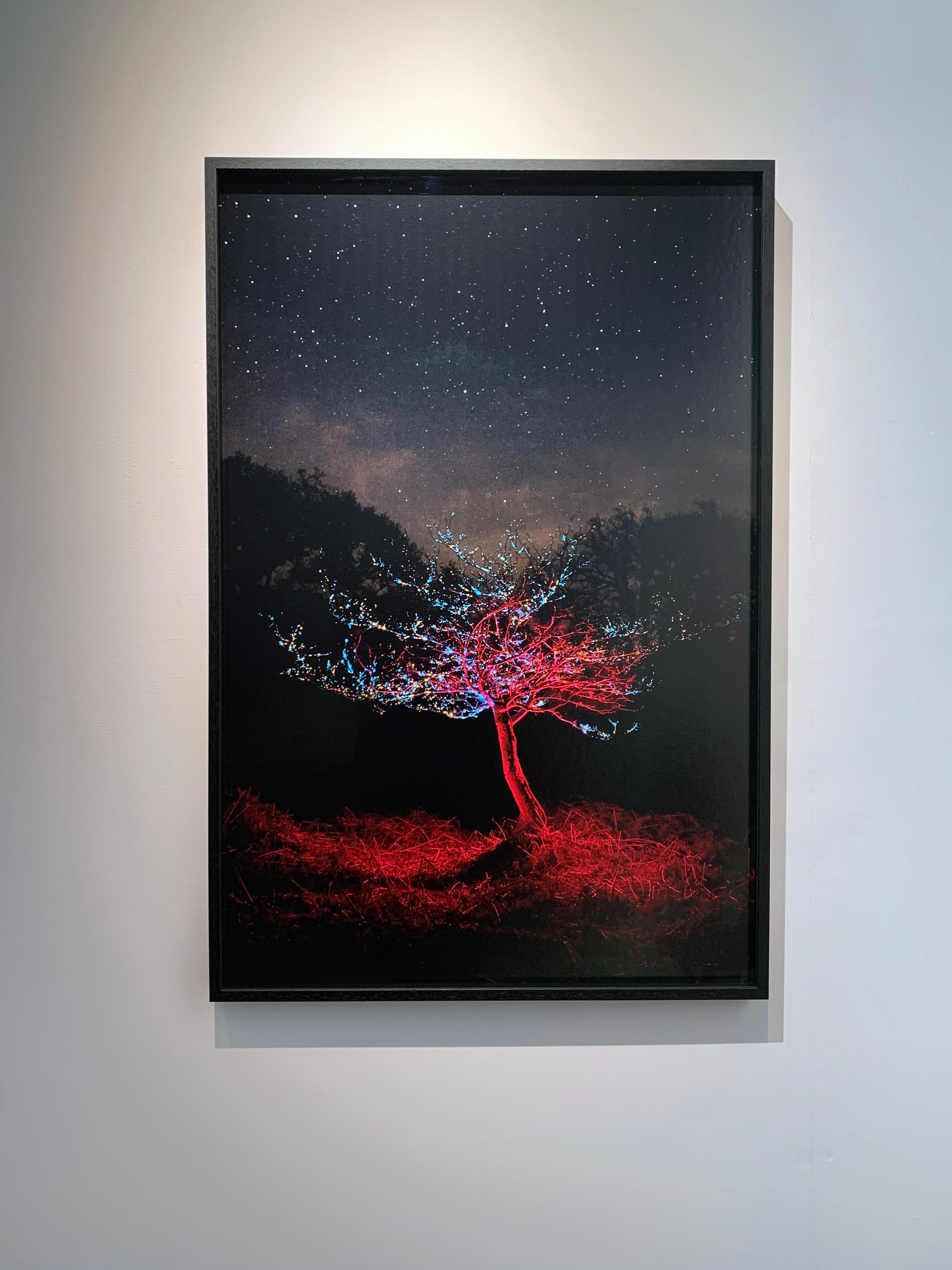 Sci-fi sparkle Red Blue Tree by Night with skylight stars - Impression encadrée - Contemporain Photograph par George McLeod
