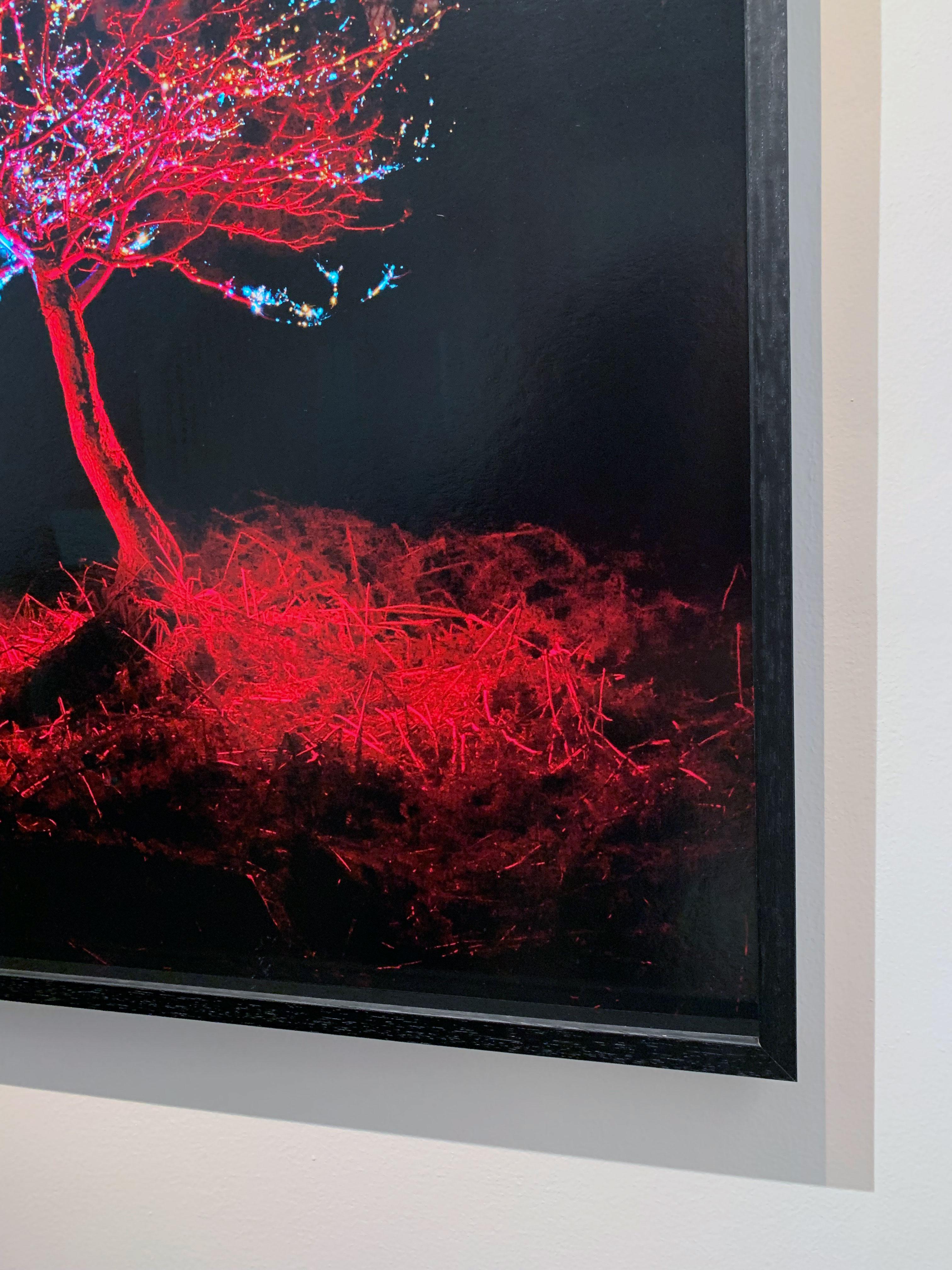 Sci-fi Funkelnder rot-blauer Baum von Nacht mit Himmelslichtsternen – gerahmter Druck (Schwarz), Color Photograph, von George McLeod