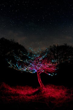 Sci-fi sparkle Red Blue Tree by Night with skylight stars - Framed Print