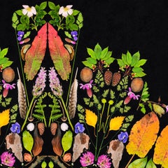 Ancient Woodland Collage, Archival Pigment Print