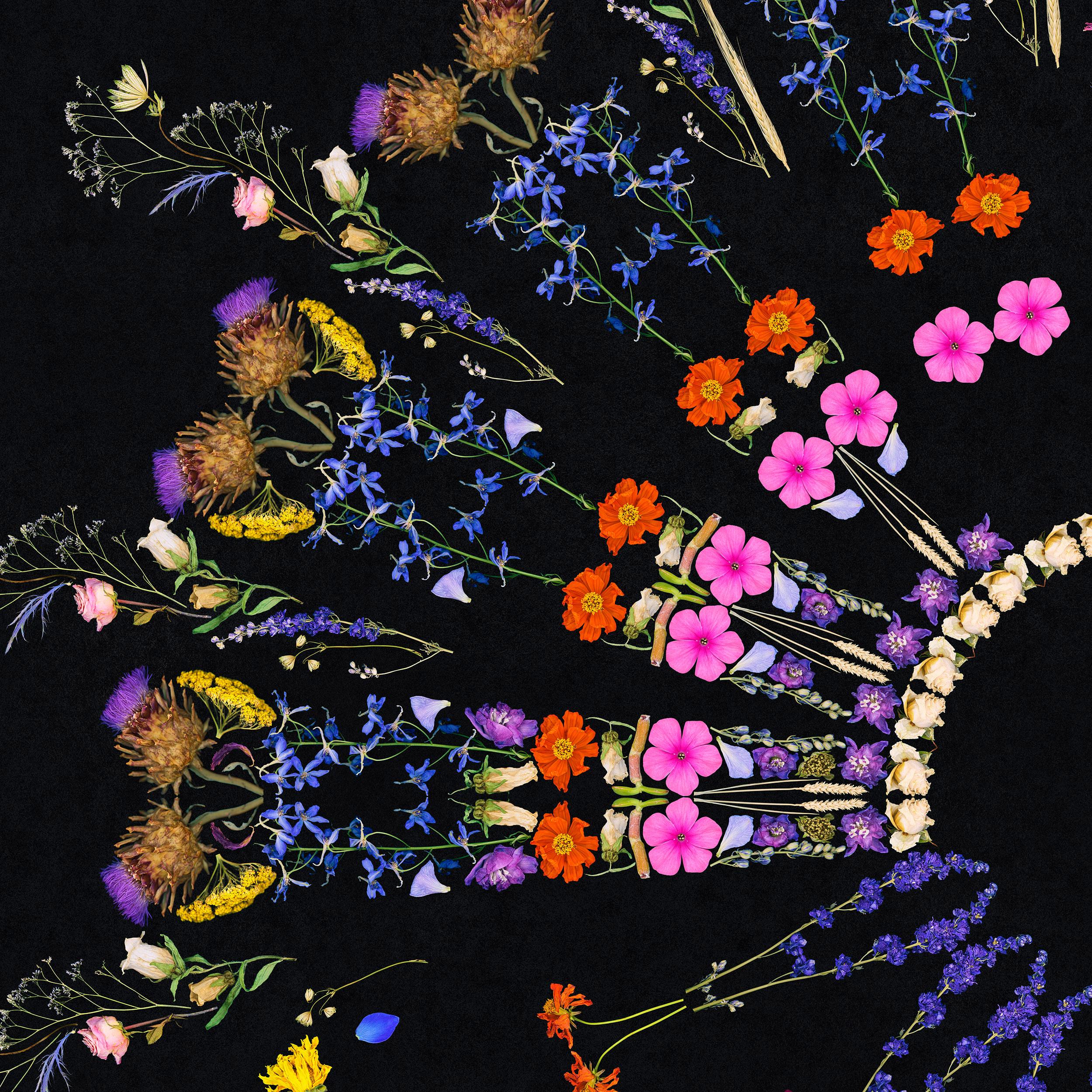 Florist Mandala - collage de fleurs mortes - Photograph de George McLeod