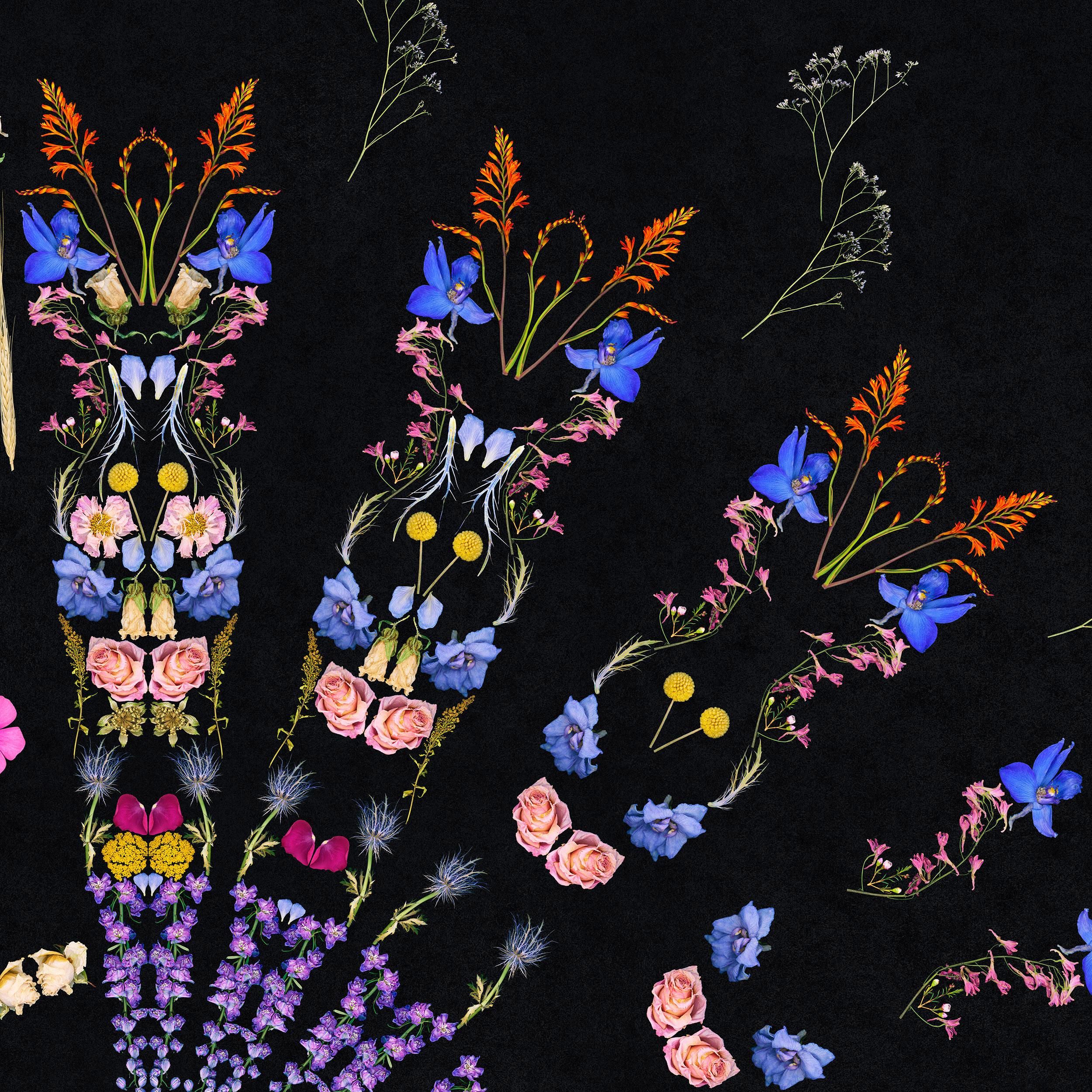 Florist, Mandala - Collage aus toten Blumen (Geometrische Abstraktion), Photograph, von George McLeod