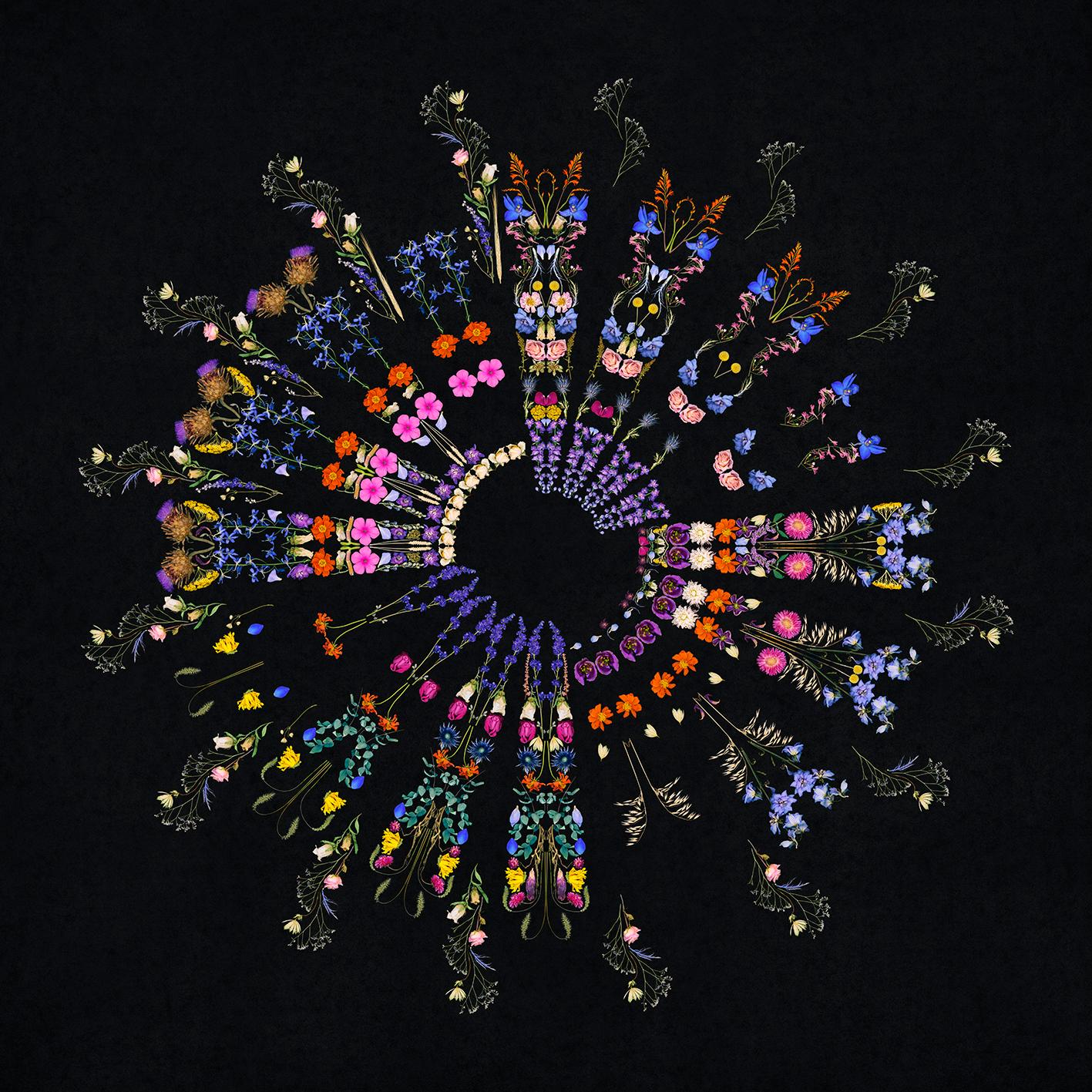 George McLeod Color Photograph – Florist, Mandala - Collage aus toten Blumen