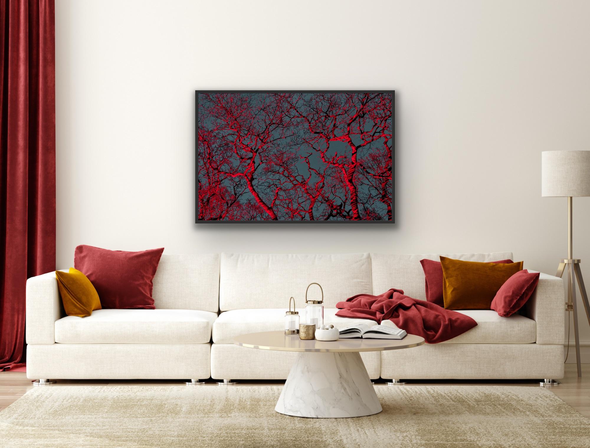 #7, 'Tree Huggers...' Red Blue Trees and Sky; Abstract Landscape Art Print For Sale 5