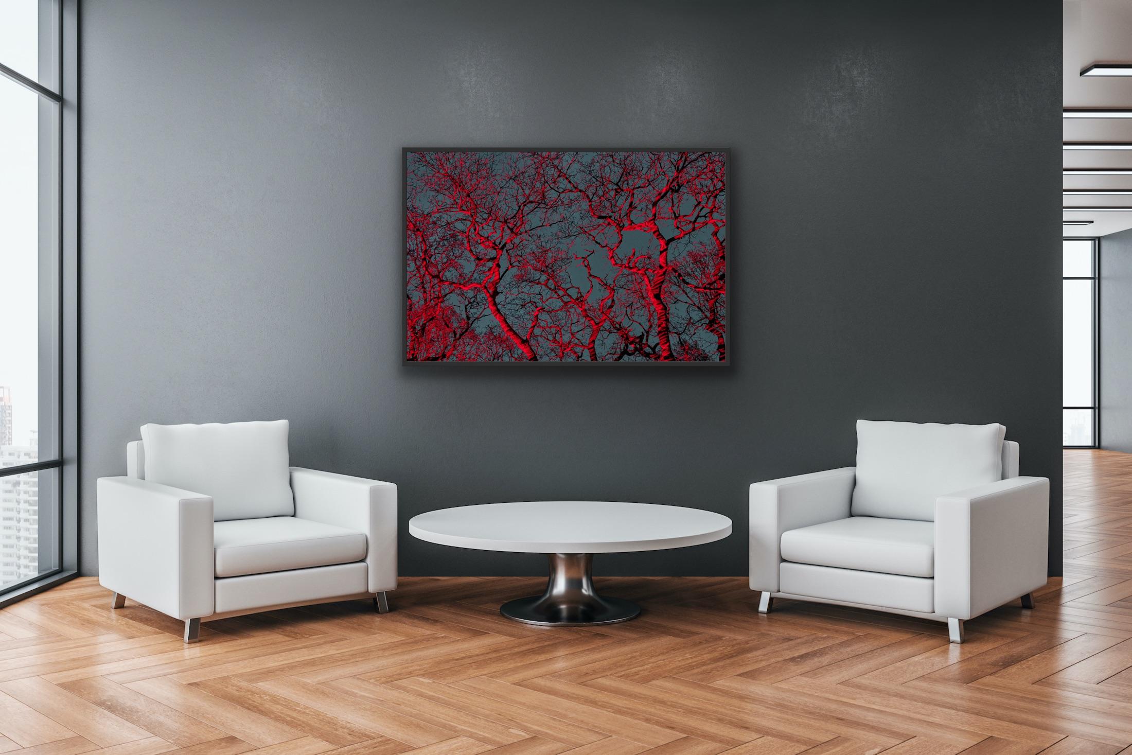 #7, „Bäume Huggers...“ Rot-Blaue Bäume und Himmel; Abstrakter Landschaftsdruck im Angebot 3