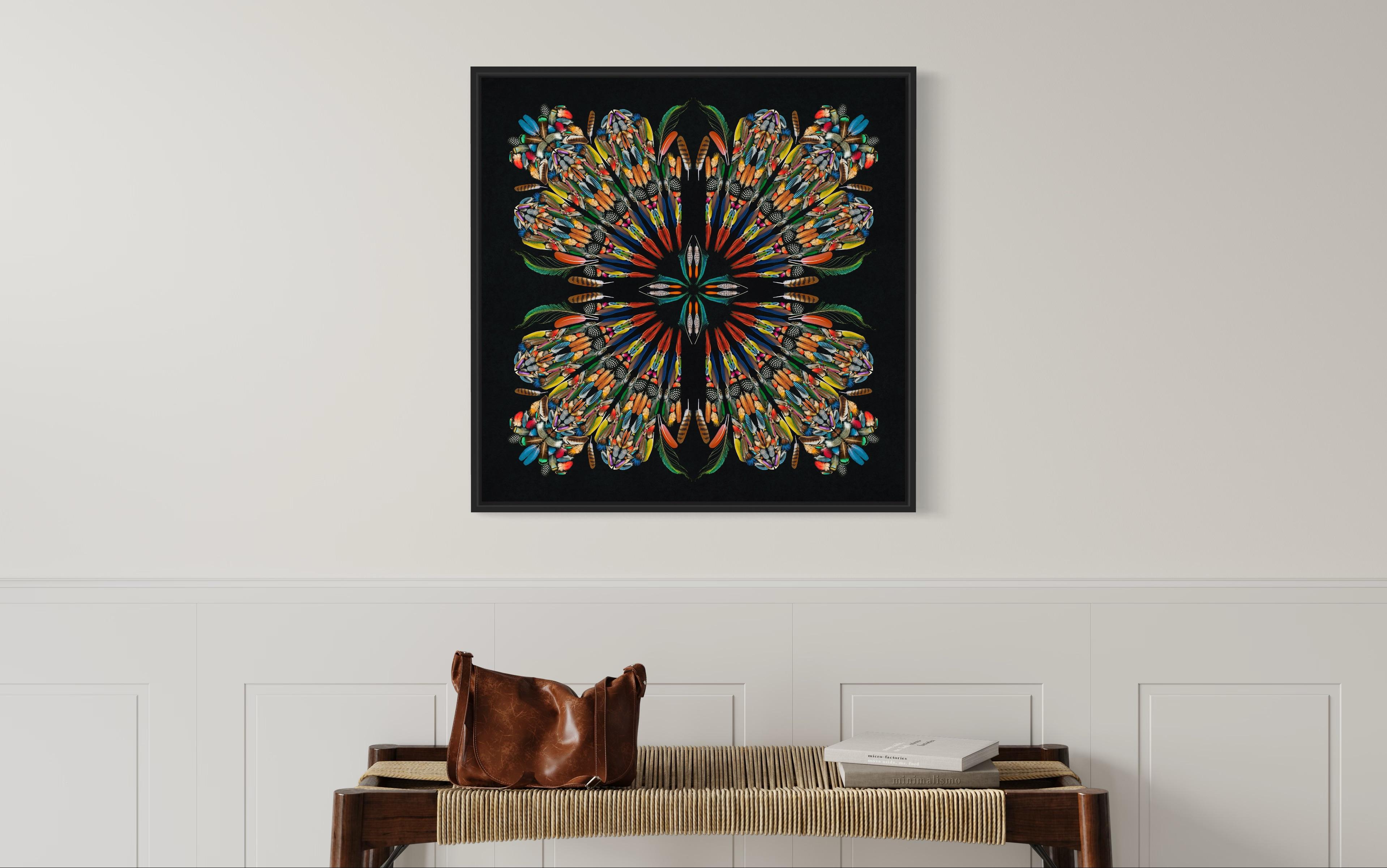 Feathers - A selection of birds feathers in colours, Geometric Tribal Mandala   For Sale 6