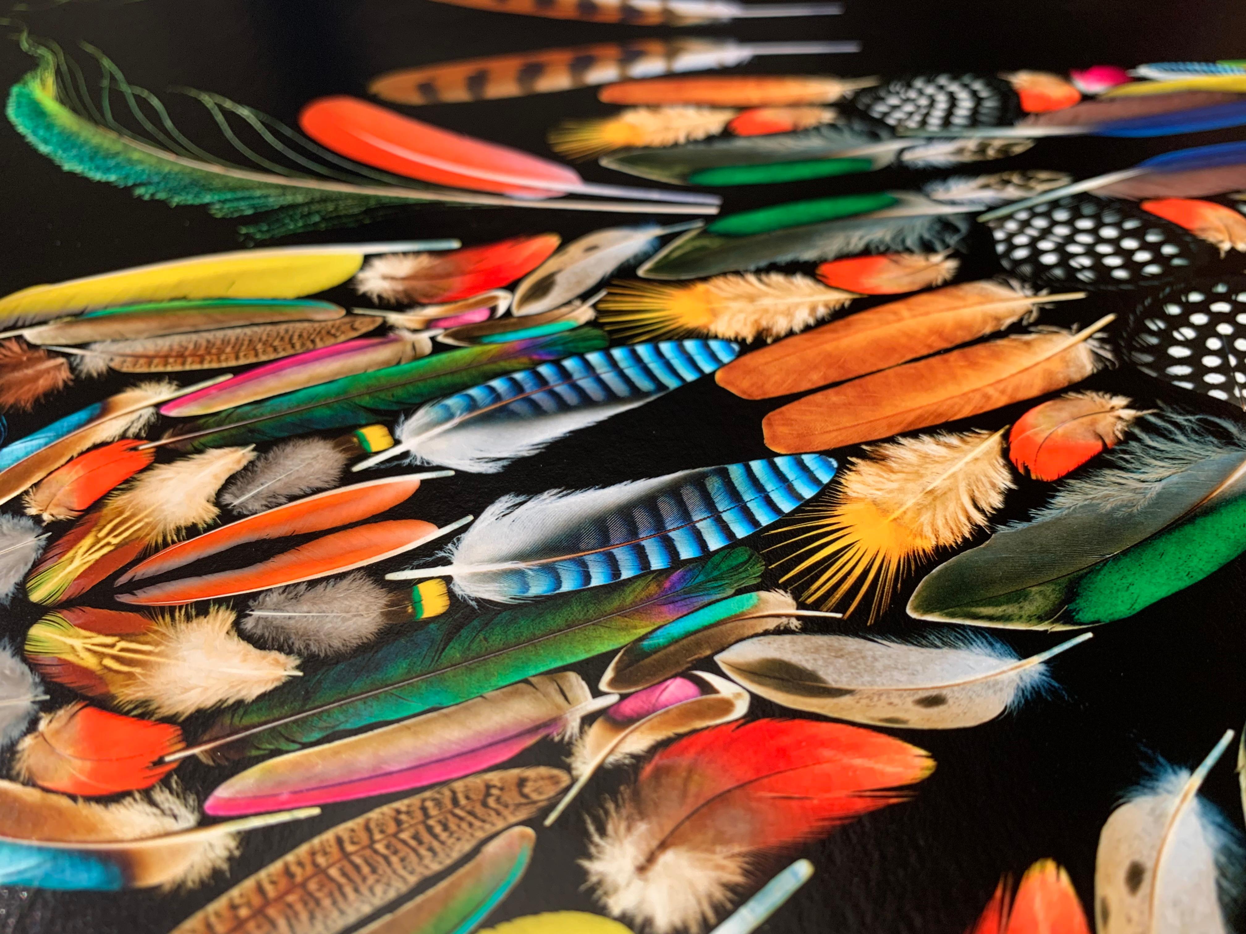Feathers - Une sélection de plumes d'oiseaux de couleurs, Mandala tribal géométrique   - Photograph de George McLeod