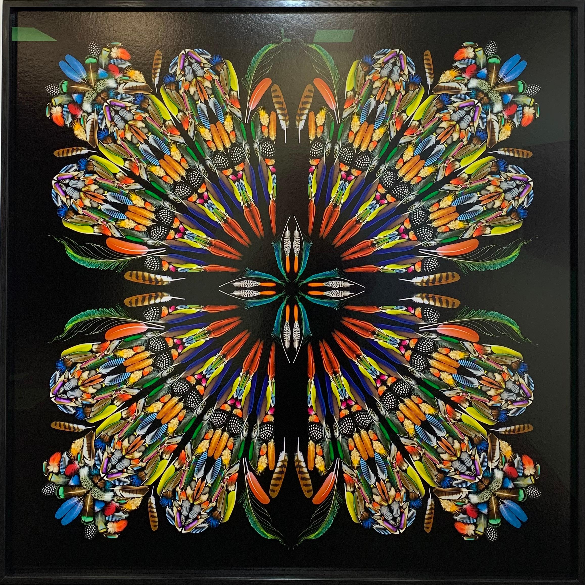 Feathers - Une sélection de plumes d'oiseaux de couleurs, Mandala tribal géométrique   - Tribal Photograph par George McLeod