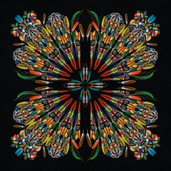 Feathers - A selection of birds feathers in colours, Geometric Tribal Mandala  