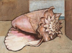 Retro Untitled (Sea Shell)