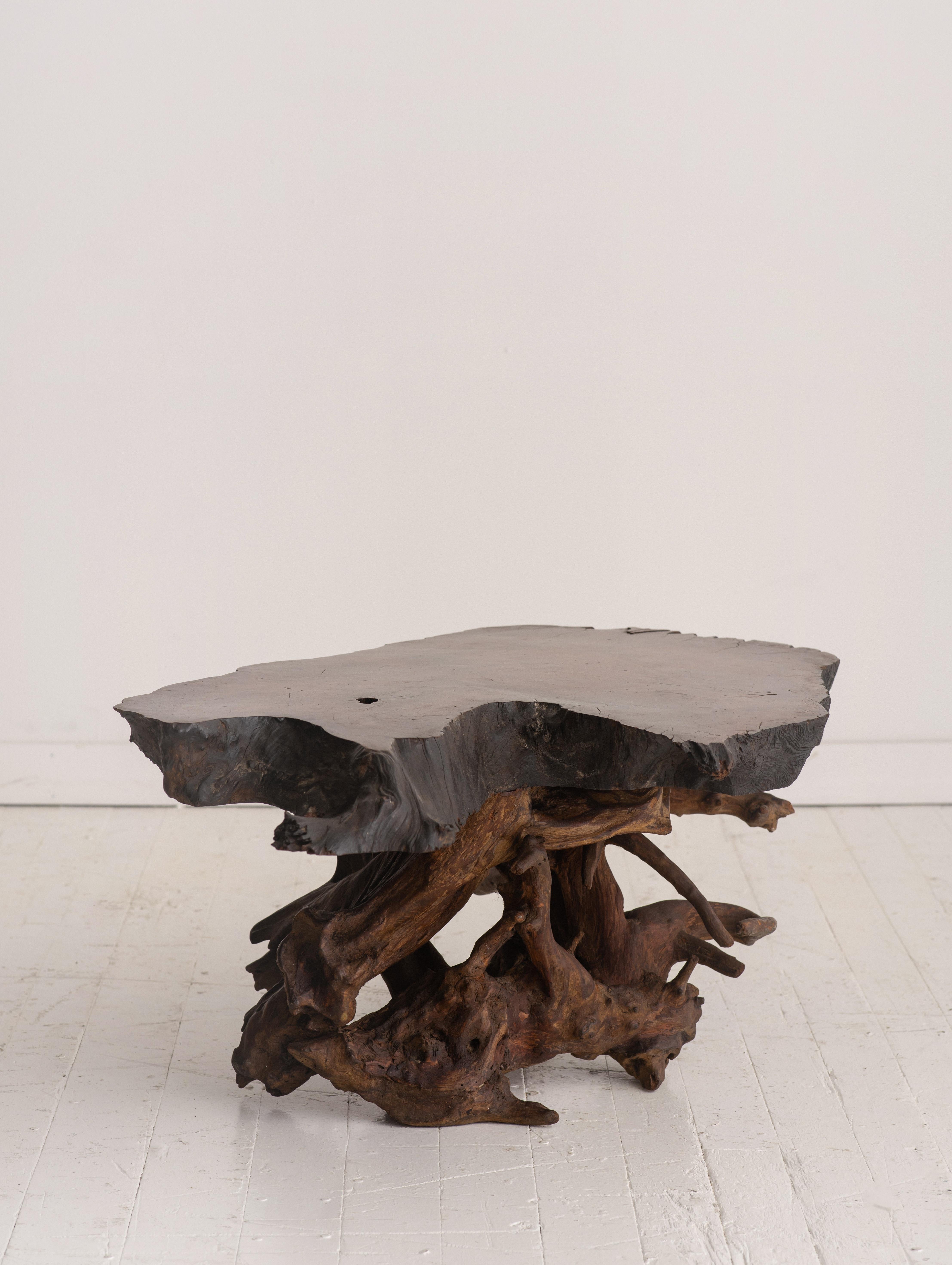 Studio made live edge coffee table in the style of George Nakashima. Solid wood slab sits atop a natural root base.