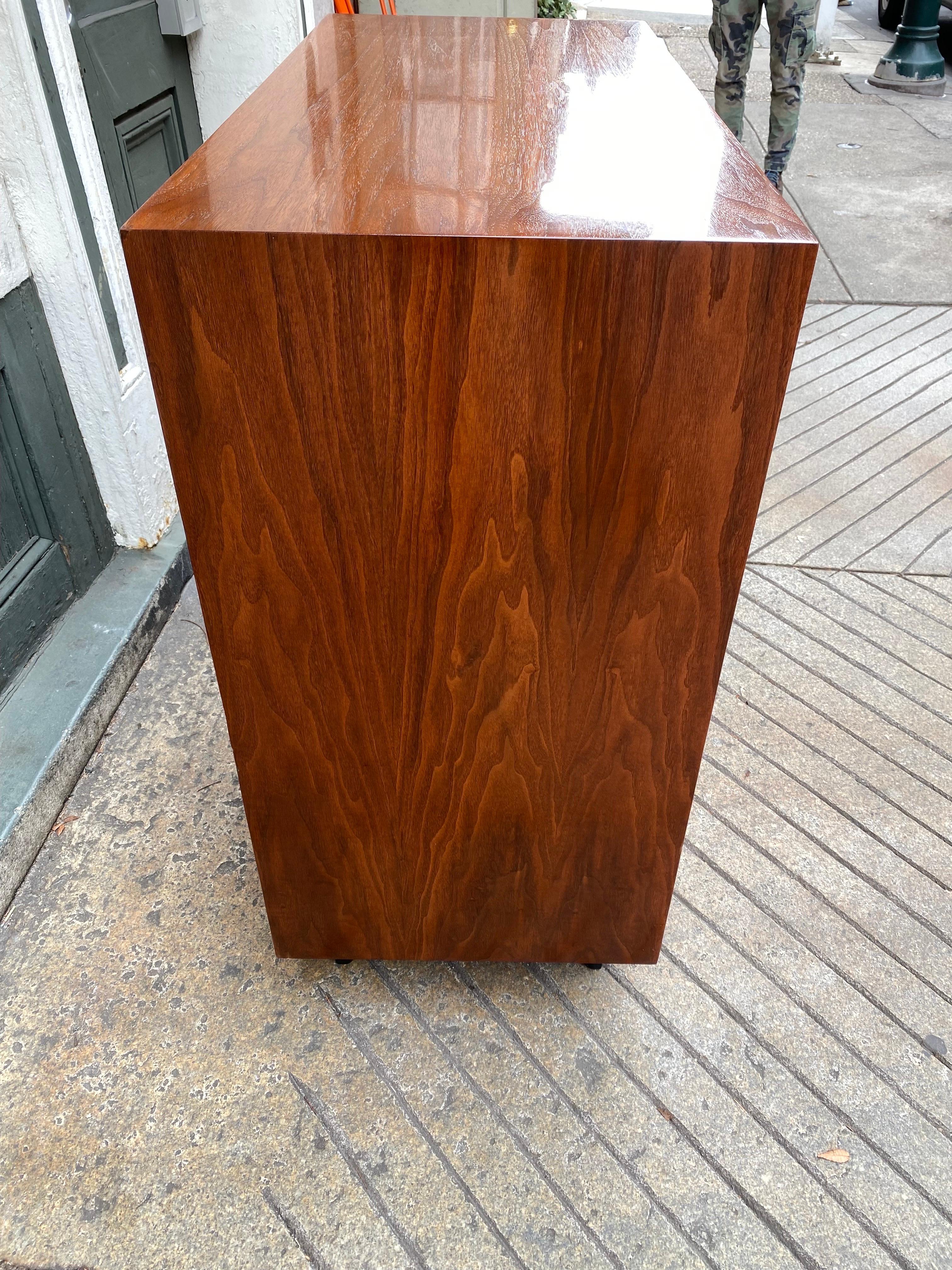 Mid-20th Century George Nelson for Herman Miller Cabinet Refinished!