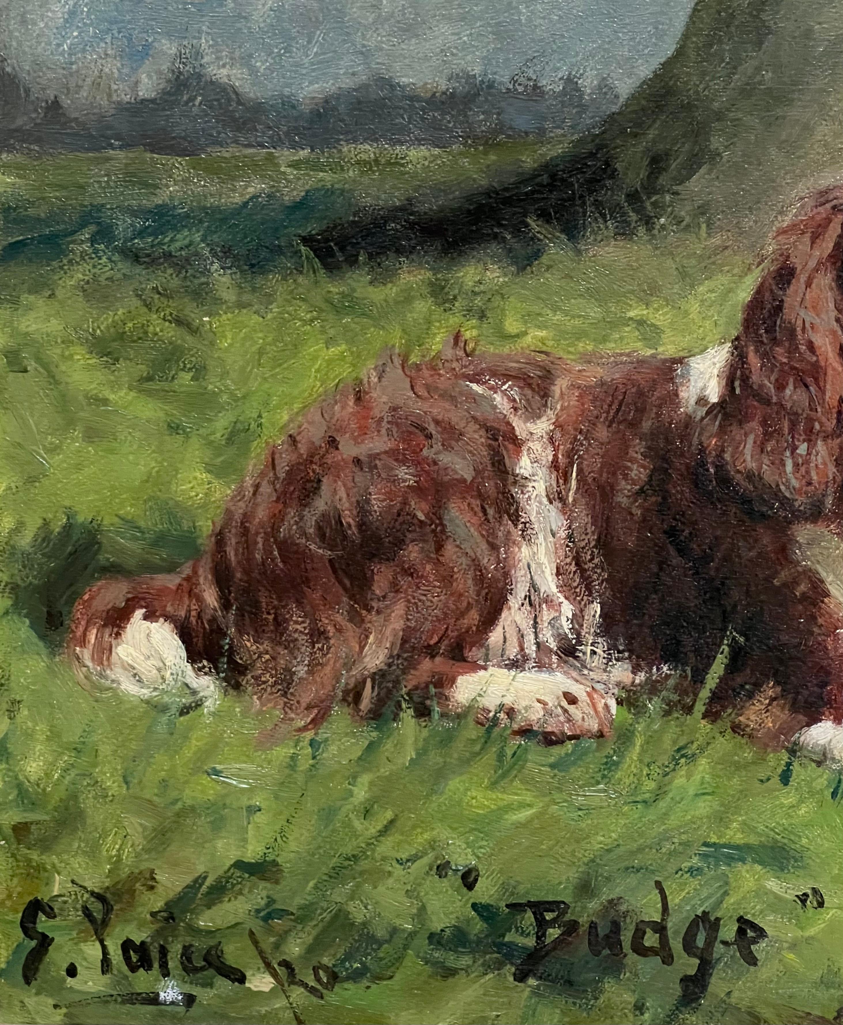 Antique English Dog Oil Painting Portrait of Springer Spaniel Titled  Dated 1920 For Sale 1