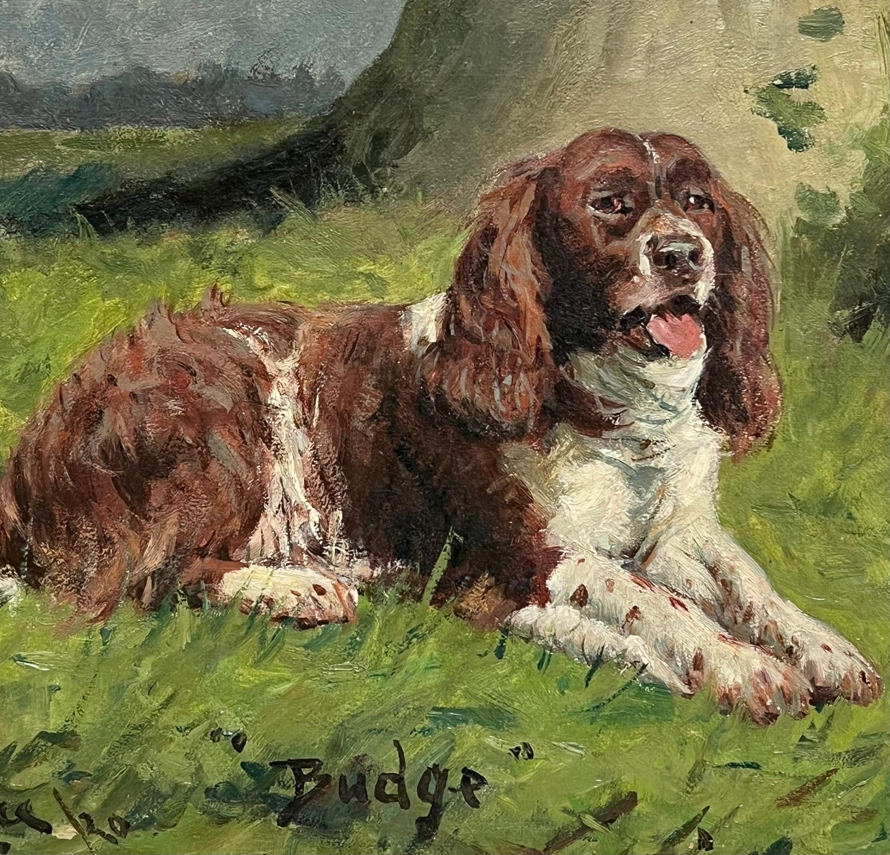 Antique English Dog Oil Painting Portrait of Springer Spaniel Titled  Dated 1920 For Sale 5