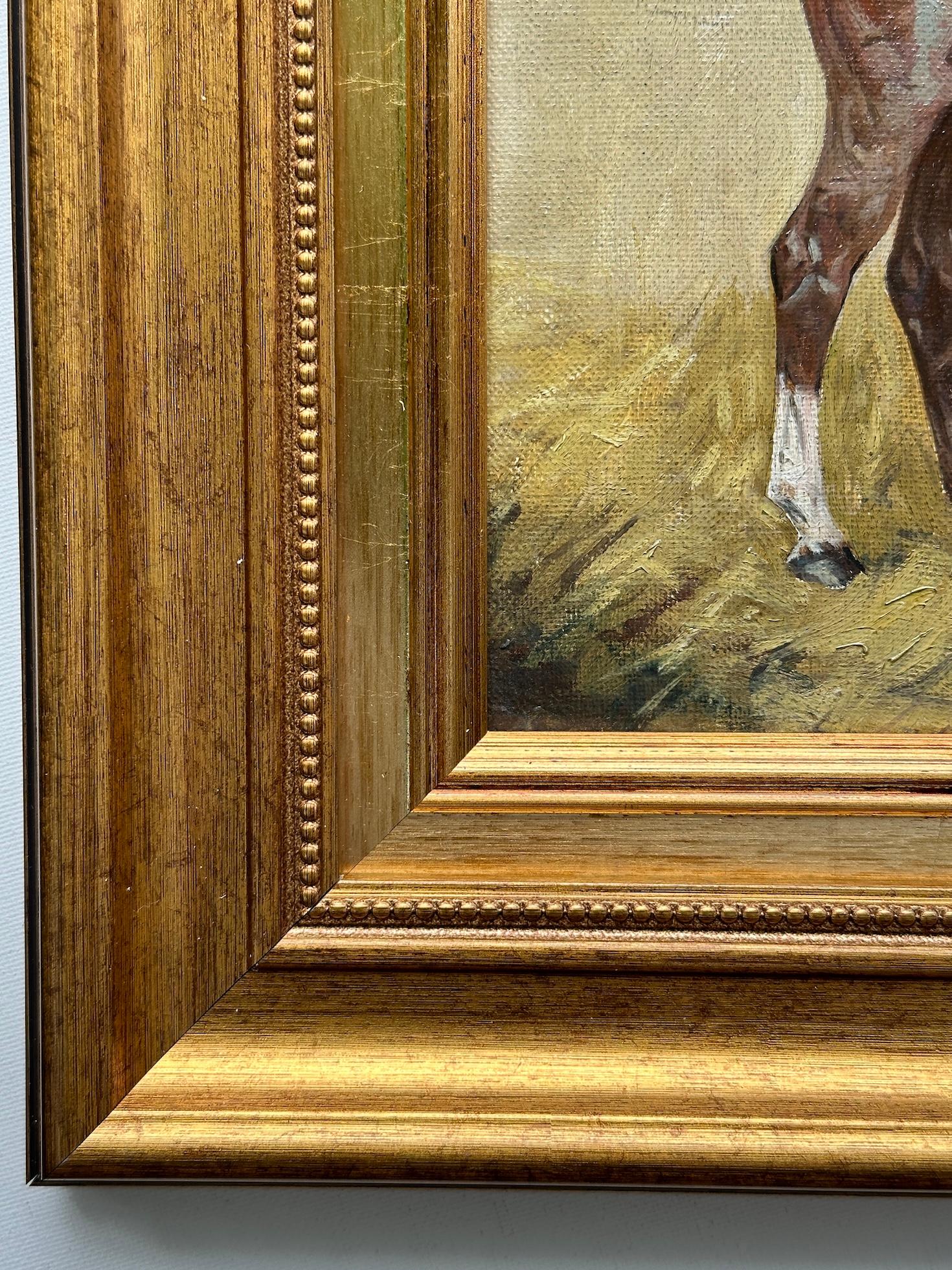Retrato antiguo inglés de principios del siglo XX de un poni de polo en venta 1