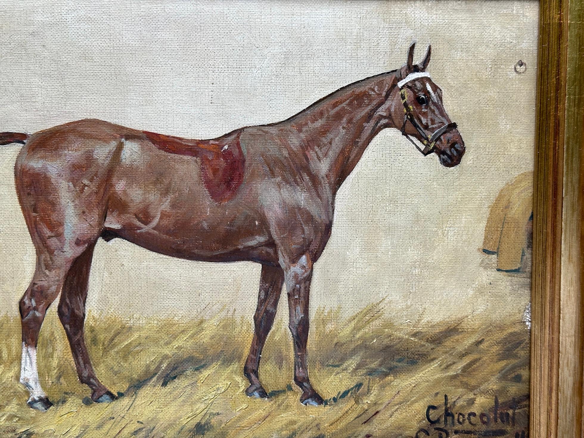 Retrato antiguo inglés de principios del siglo XX de un poni de polo en venta 2