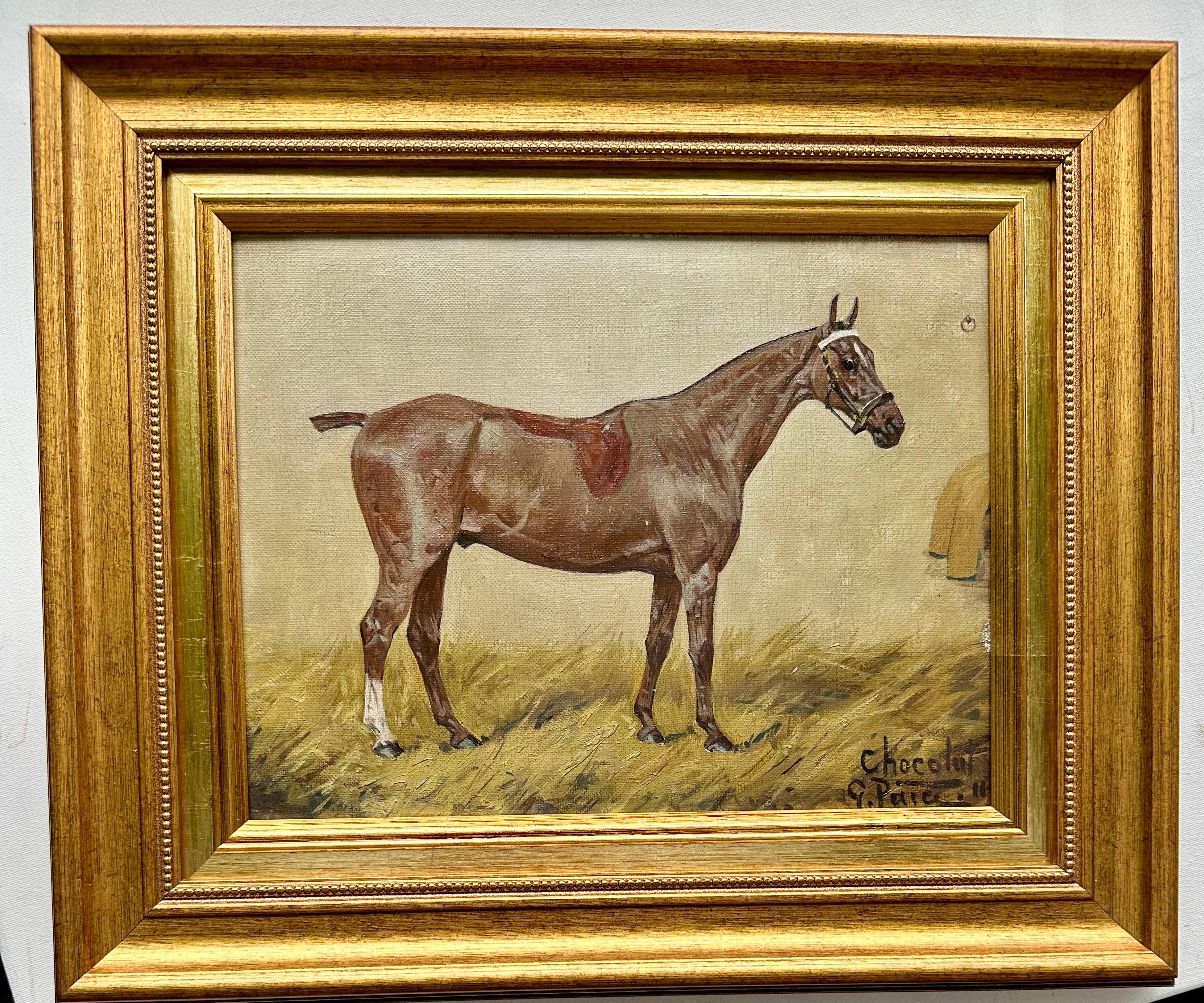 Retrato antiguo inglés de principios del siglo XX de un poni de polo