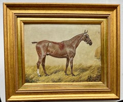 Early 20th century English Antique portrait of a Polo Pony