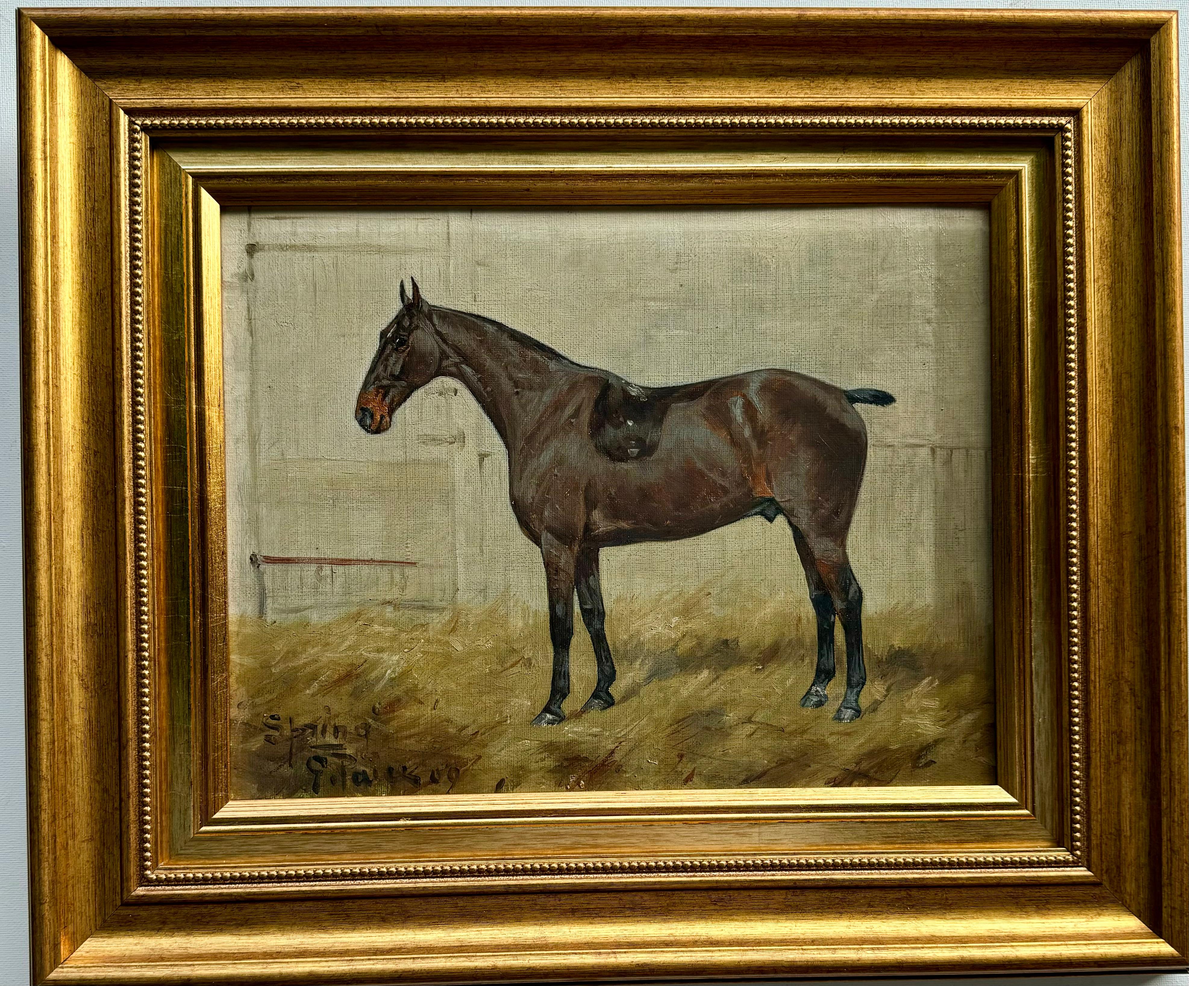 Early 20th century English Antique portrait of a Polo Pony