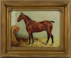 Peinture de cheval équestre "Robin" de George Paice