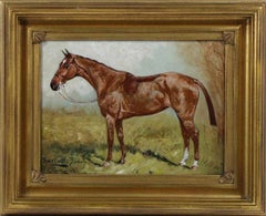 George Paice 'Sarcastic Beauty' Equestrian Horse Painting