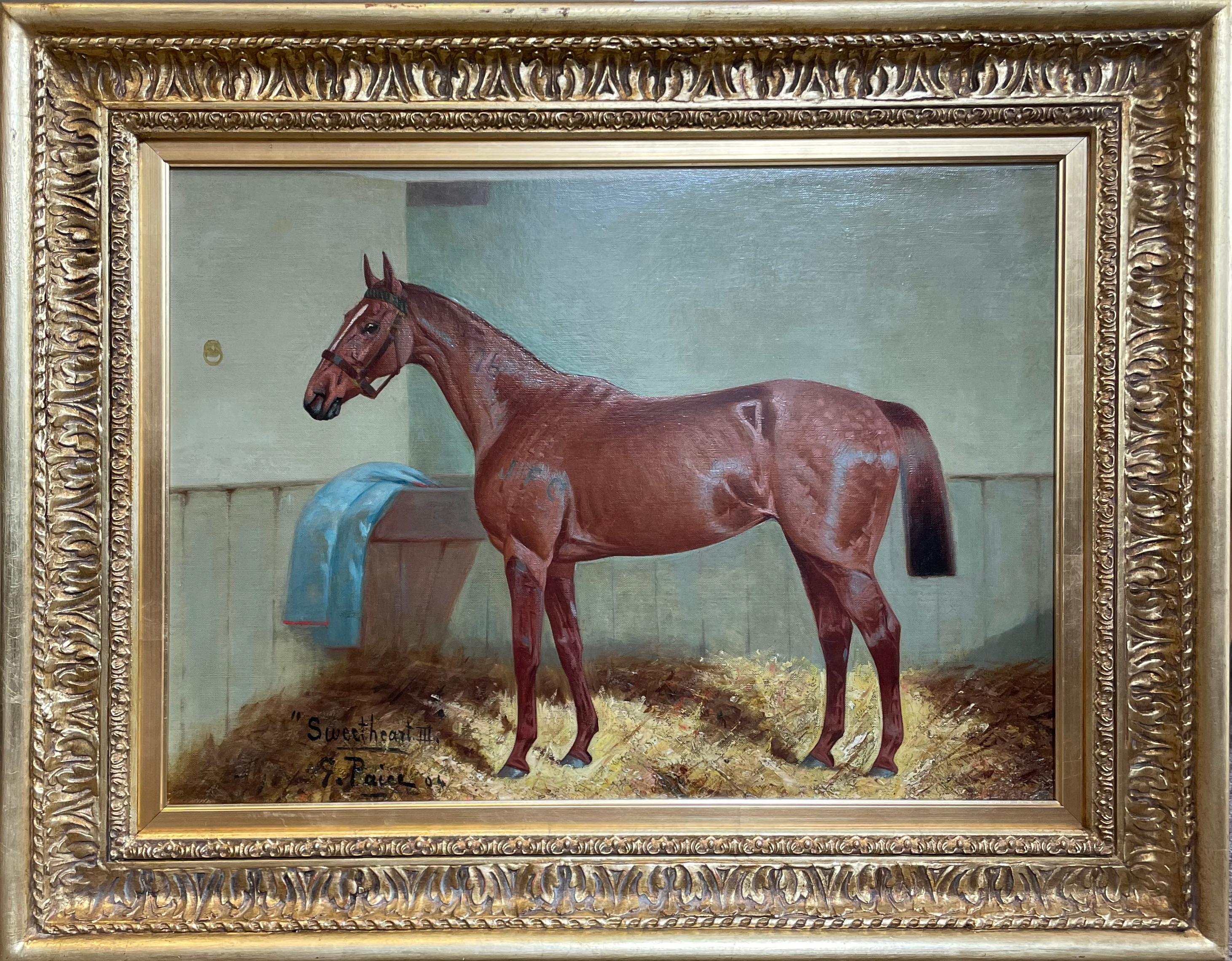 Oil painting portrait of a Racehorse by George Paice (1854-1925) 1