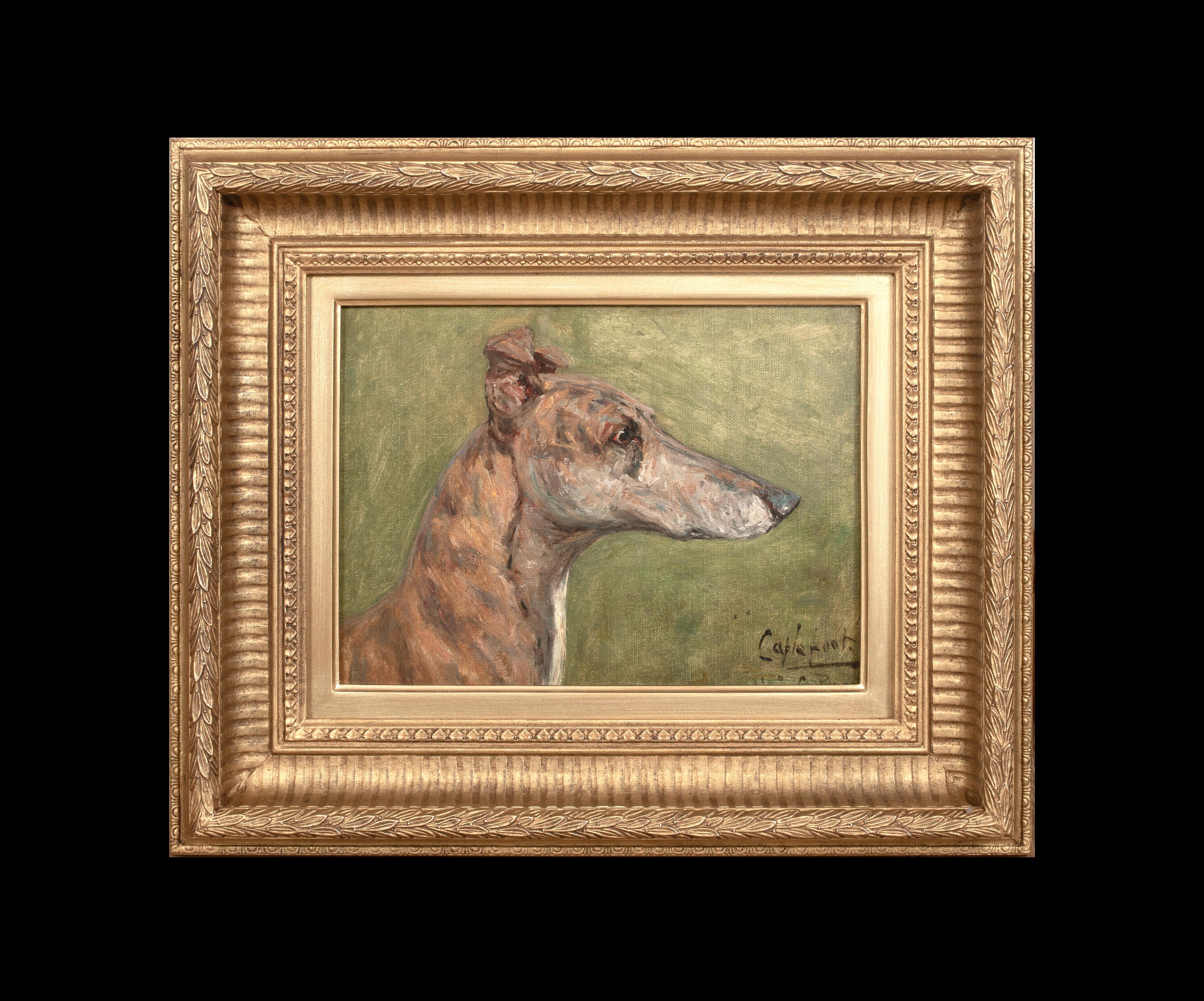 Retrato del galgo campeón 